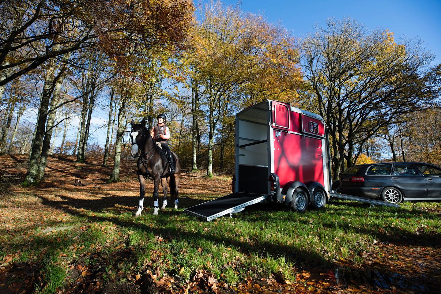 The Ifor Williams HB403 Single Horse Trailer.
As a single horsebox, the HB403 provides more stall width than the double horsebox models and offers enough headroom to take one 16.2hh horse.
Being a narrower trailer, the HB403 is easier to tow and produces less wind resistance when towing. The HB403 is ideal for transporting nervous horses that require a wider stall and may prefer to travel alone.
Available in Red, Black, Silver, Blue & Graphite. Also available in the HBX model.
#iforwilliams #iforwilliamshorsetrailer #iforwillamsHB403
#westsussex #equine #thesouthsleadingtrailercentre